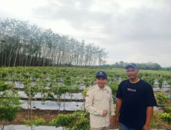 Lewat Program Dospulkam, IPB Hadirkan Inovasi Baru Bagi Petani Tubaba